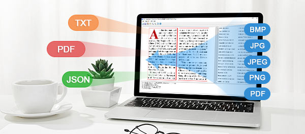 Prend en charge la reconnaissance des formats d'image courants tels que BMP, JPG, JPEG, PNG, PDF ; exporte les fichiers aux formats JSON, TXT, PDF double, etc.